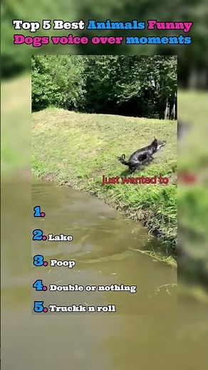 Top 5 dogs funny voice over moments