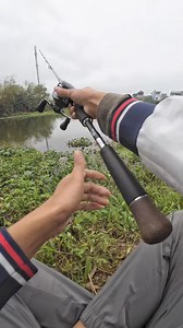 Hành trình về quê vợ câu hết cá | Đỗ Đạt Fishing