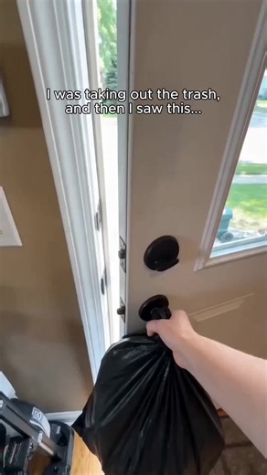 What I Saw While Taking Out the Trash — Cute Wildlife Encounter