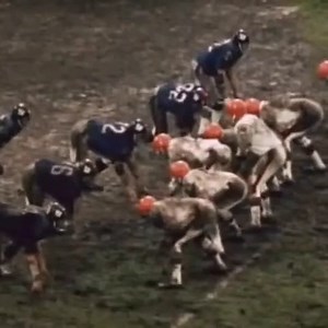 Born on this day (8/20) in 1940: Gary Collins (Gary Collins 24-yard touchdown pass from Bill Nelsen) New York Giants @ Cleveland Browns 1969-11-23 | On this day in Professional Football History