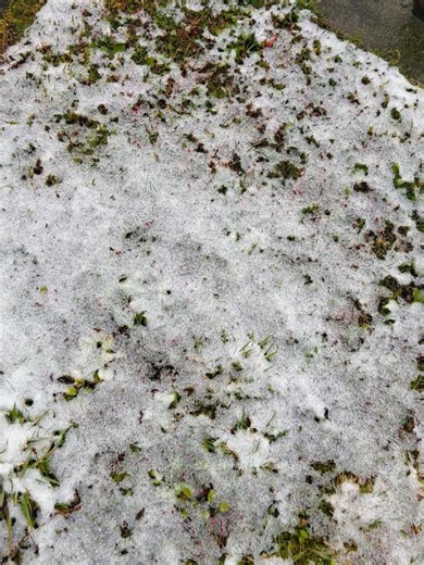 倶知安観光協会 Kutchan Travel Guide Niseko on Reels