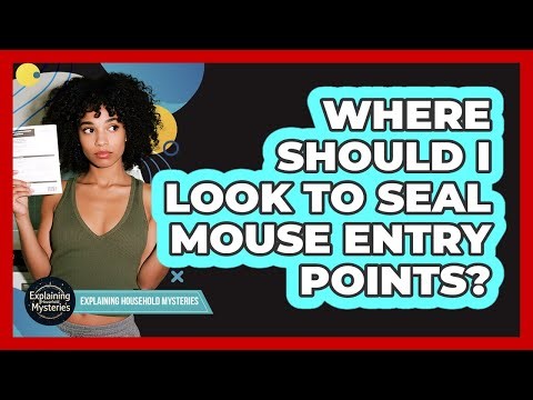 Where Should I Look To Seal Mouse Entry Points?