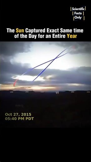 The Sun Daily Snapshot for an entire year Those Who know This 💀🤯#astronomy #sun #spacefacts #earth