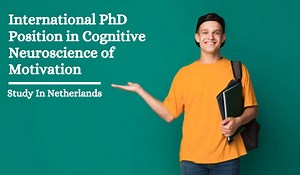 International PhD Position in Cognitive Neuroscience of Motivation, Netherlands