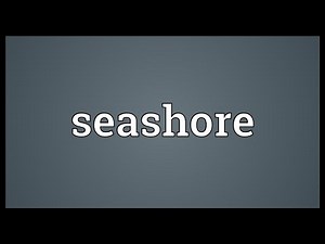 Seashore Meaning