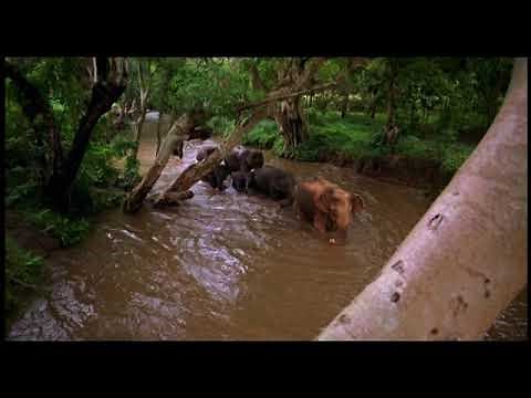 Sacred Planet (2004) - Trailer