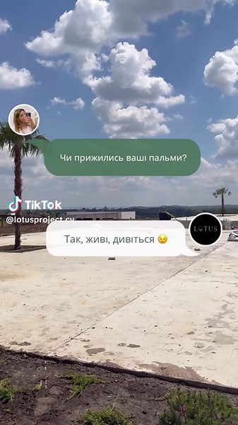 lotusproject.cv on TikTok