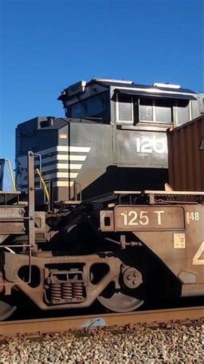 NS 1202 and 9875 leads NS 811 across Shell Road #norfolksouthern #recorderoftrains #train #railroad