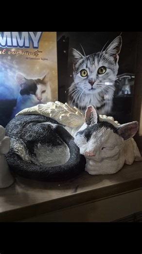 Mereu in sufletul meu. | Eugenia Comiza