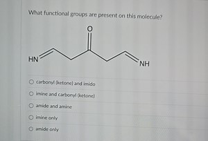 What functional groups are present on this molecule?The image... | Filo