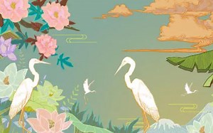 《HTTP3详解》合集（完）