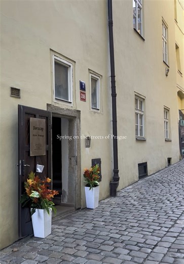 Spring Days Vibrance in Prague