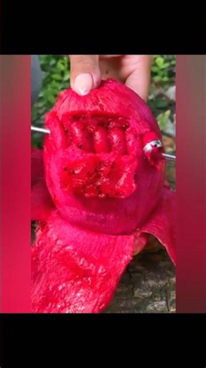 What Do Fruit Sticker Really Mean?