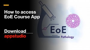 How to access EoE Course Materials on a Smart Device