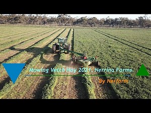 Vetch Hay 2021