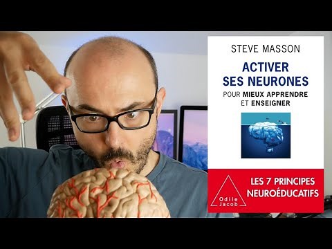 Activer ses neurones pour mieux apprendre et enseigner par Steve Masson