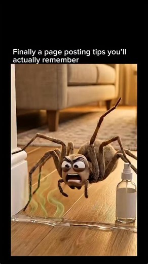 Animated Health on Instagram: "Some household ingredients are commonly used as natural insect deterrents. Peppermint oil has a strong scent that spiders and other insects tend to avoid, making it popular for doorways and corners. Cinnamon is often used to discourage ants because its smell can disrupt their scent trails. A mixture of baking soda and sugar is sometimes used for cockroaches — sugar attracts them, while baking soda can be harmful when ingested. Vinegar is frequently used to deter an