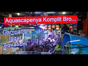 Toko Ikan Gampang Ingat Aquarium Terbesar di Bandung