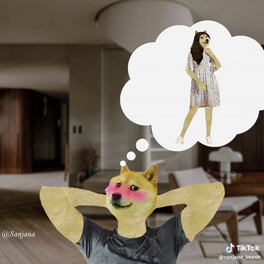 Cheems Version: Funny Video for TikTok Fans