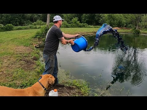 #30 Muddy Farm Pond To Blue Bayou?!