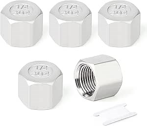 TAISHER 10PCS 304 Stainless Steel Cap Pipe Plug Socket Fitting 1/4" NPT Female