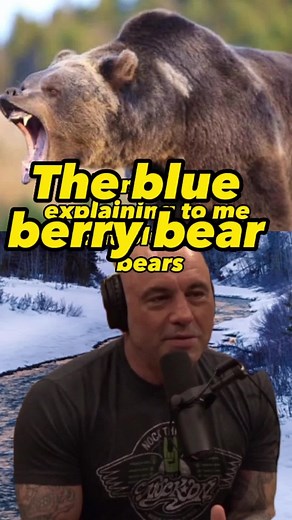 Blueberry Bear Hunting and Meat: A Delicious Discovery