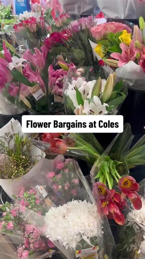 Flowers from $1.80 at Coles @Coles #colessydney #bargain #bargainhunter #bargainqueen #saleaddict #shopmyfinds #fyp #sydneyshopper #sydneyaustralia #flowers_🌷💗
