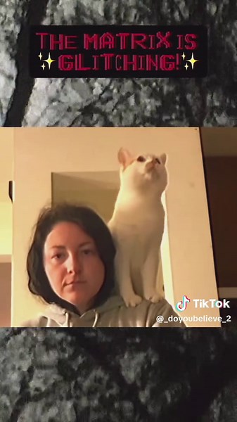 Exploring Horror Glitches in Video Editing