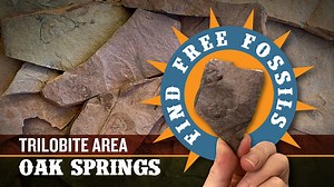 Oak Springs Trilobite Fossil Hunting: A Complete Guide