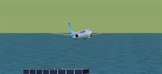 Boeing 737 Max Landing by Emirates Airlines