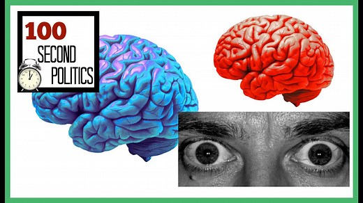 Liberal vs. Conservative Brain Explained