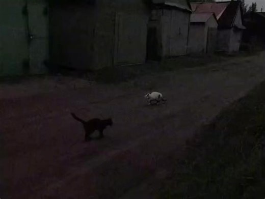 Original Writing Ideas to Inspire Your Creativity