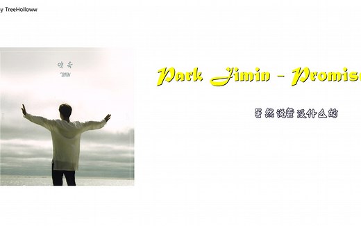 【中字】朴智旻 - Promise(约定)歌词