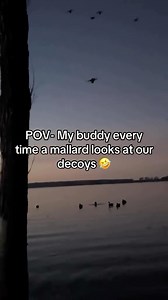 5.3K views · 51 reactions | Calling for ducks or exercising those lungs?! | Hooked & Tagged | Facebook