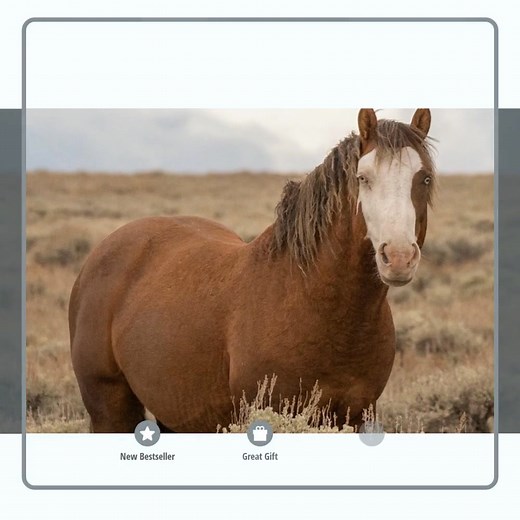 "Jack of Hearts Salt Wells Creek Utah" // https://www.2marophotography.com/warehouse-open-edition-prints/art_print_products/jack-of-hearts-salt-wells-creek-utah | 2Maro Photography | Facebook