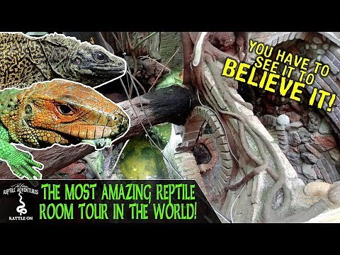 TOURING THE MOST AMAZING REPTILE ROOM IN THE WORLD!