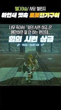 [젤다.야숨] 하얀새 뱃속 로봇 전기구이. 미오스.시노의 사당