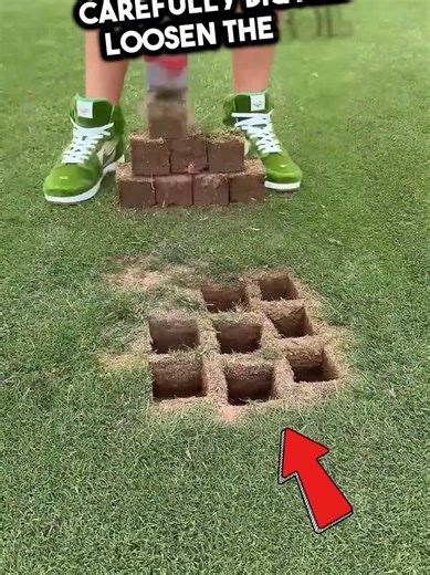 Fixing a Dying Grass Spot in the Garden