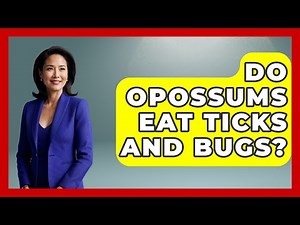 Do Opossums Eat Ticks And Bugs? - The Wild Life Explorer