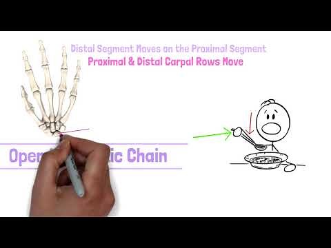 Wrist Kinesiology & Biomechanics