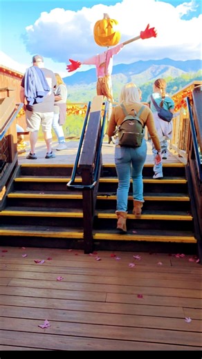Anakeesta in Gatlingburg, TN is breathtaking. 🌳🌲⛰️☀️ #gatlinburg #tennessee #adventure