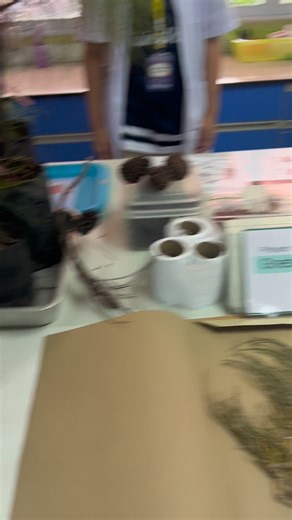 8.6K views · 92 reactions | Welwitschia Ephedra และ Gnetum | ครูชีววิทยา | Facebook