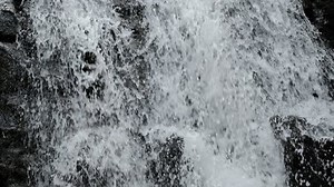 Cascade Stream Cindrel Mountains Romania: стоковое видео (без лицензионных платежей), 1103651233 | Shutterstock