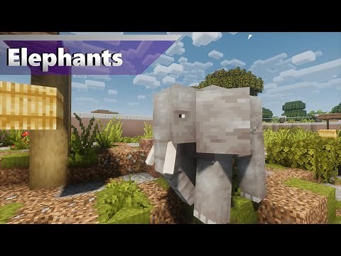 Elephants | Alex's Mobs Zoo (Minecraft 1.16 Zoo)