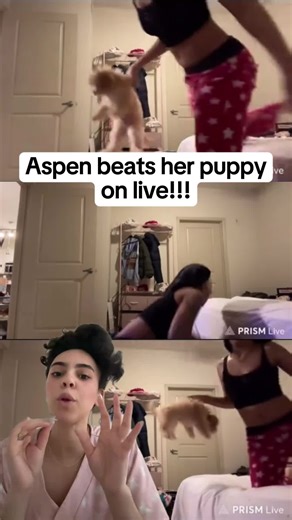 #fyp #trending #aspen #dog #viralvideo | aspen
