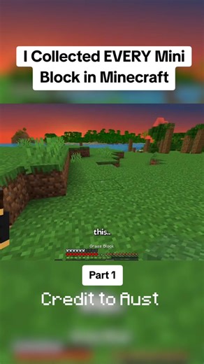 I Collected EVERY Mini Block in Minecraft | minecraft