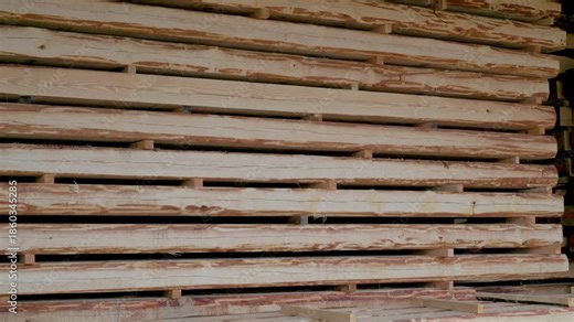 Large stacks of processed and rough-cut lumber and logs stored in a sheltered shed, prepared for construction or woodworking