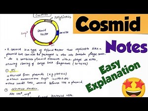 Cosmid vector # types of vector #notes #biotechnology