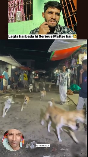 Doggy ki jhund local mein 🤨🔥🦮 . . . . . . . . . . . . #mtbhai02 #viral #reel #comedy #reels #love #funny #doggy #dog #doglover #doglovers #doglife #ai #dogsofinstagram #dogphotography #doğa | MT Bhai 02