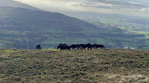 Sarah Elizabeth James on Reels